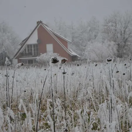 Gaestehaus Feldmann *