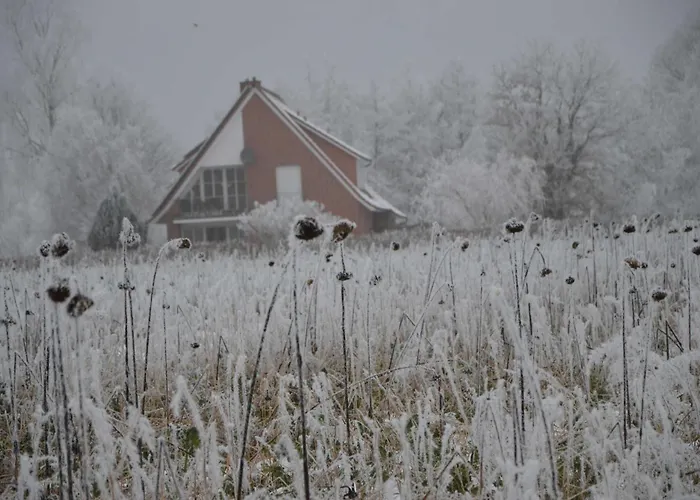 Gaestehaus Feldmann *